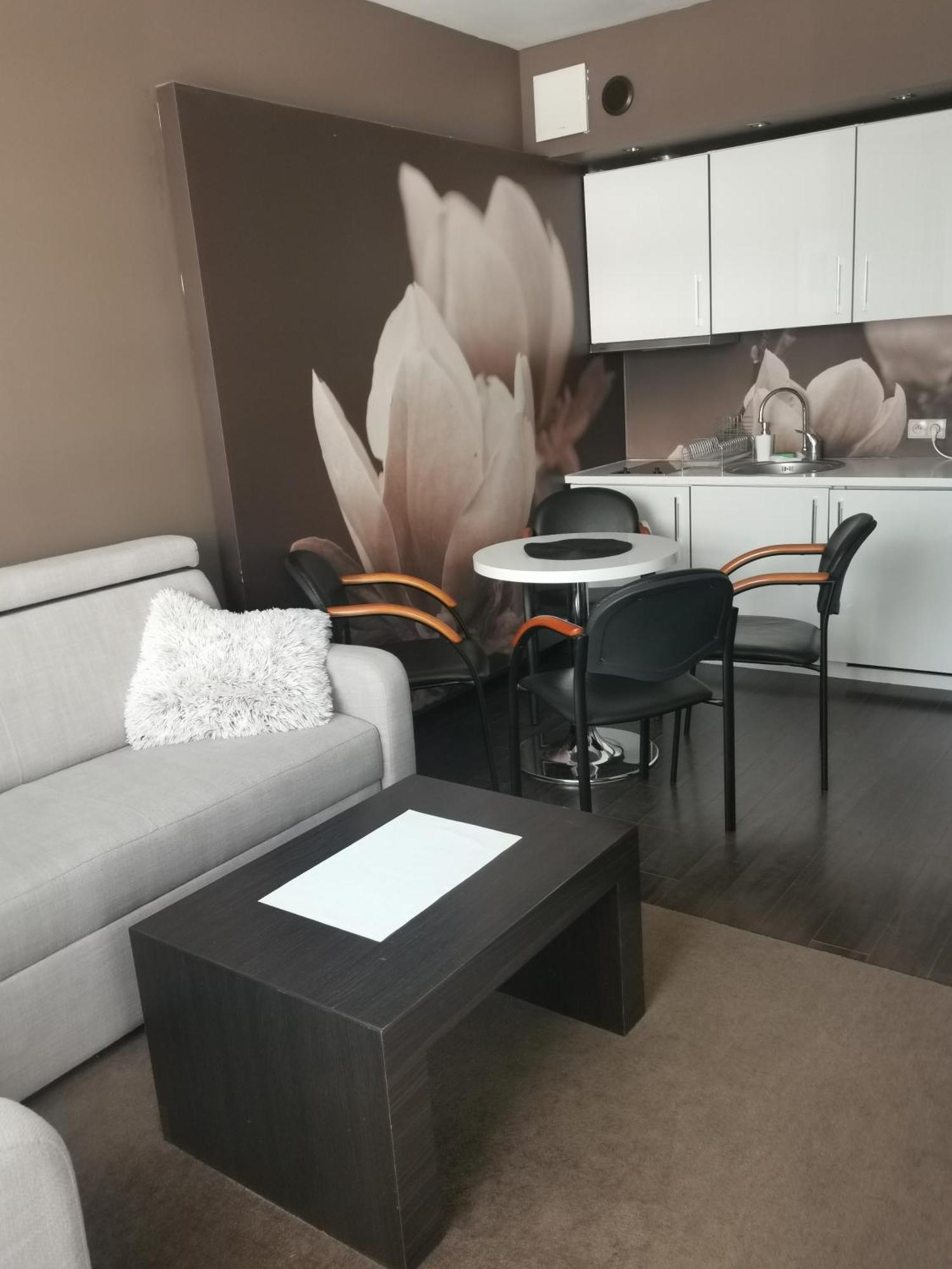 Apartament Prywatny Salon Z Aneksem Kuchennym I Sypialnia W Hotelu Diva Kolobřeh Pokoj fotografie